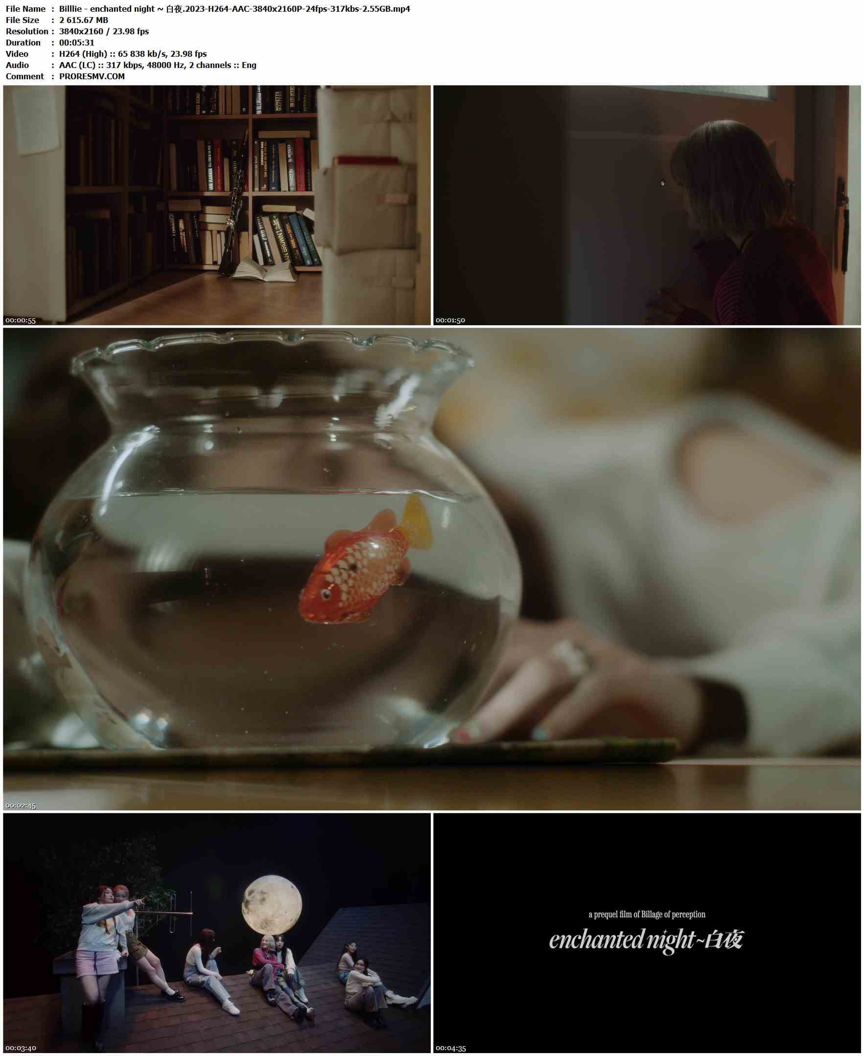 Billlie - enchanted night ~ 白夜.2023-H264-AAC-3840x2160P-24fps-317kbs-2.55GB官方MV_高清MV